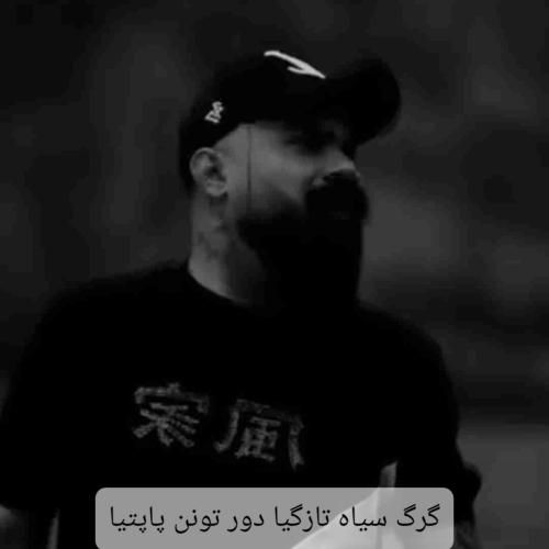 دانلود آهنگ گرگ سیاه تازگیا دور تونن پاپتیا فرهاد جهانگیری