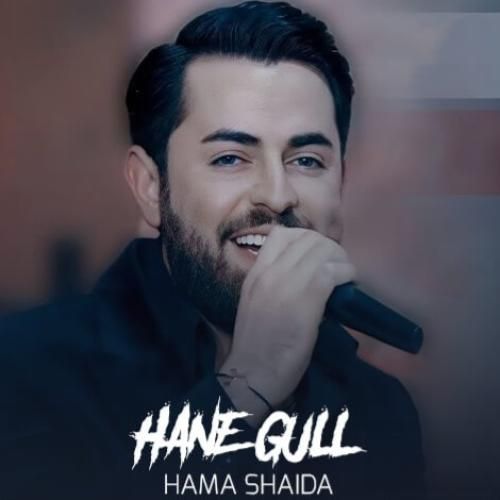 دانلود آهنگ حه مه شیدا هانی گول