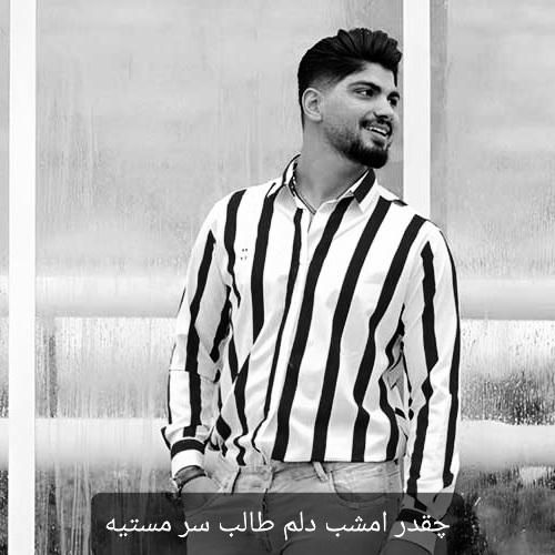 دانلود آهنگ چقدر امشب دلم طالب سر مستیه امیر فضلی