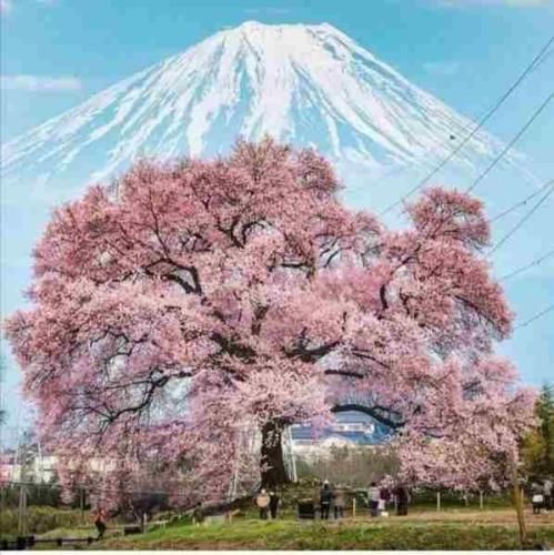 دانلود آهنگ نمیگیره کسی که جات چشم تو چشم میشم 