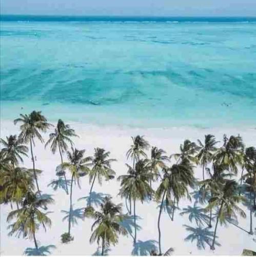 دانلود آهنگ تهران اسپیکر میای رو تنم از تو نمیگذرم 