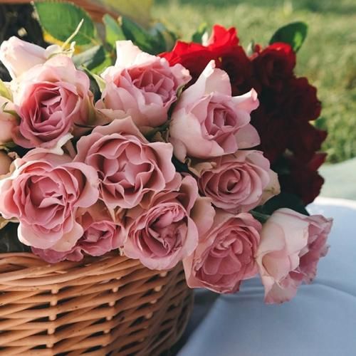 دانلود آهنگ چی میشه بعدت یکی نیاد به جام درست وسط قلبت با صدای دختر