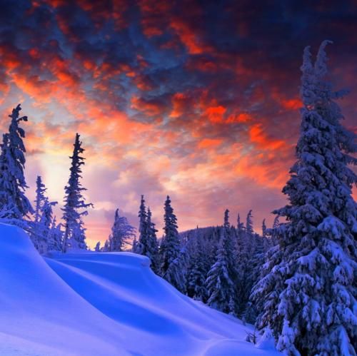 دانلود آهنگ صدای سوت بلبل قلبمو دیوونه کرده با صدای بچه 