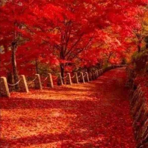 دانلود آهنگ بذار رک بگم از همه ترسیدم از آشنا و غریبه 