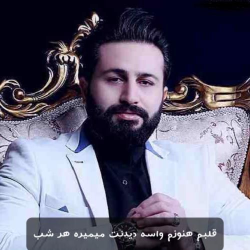 دانلود آهنگ قلبم هنوزم واسه دیدنت میمیره هر شب مرتضی جعفرزاده