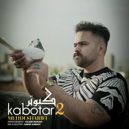دانلود آهنگ کبوتر 2 مهدی شریفی