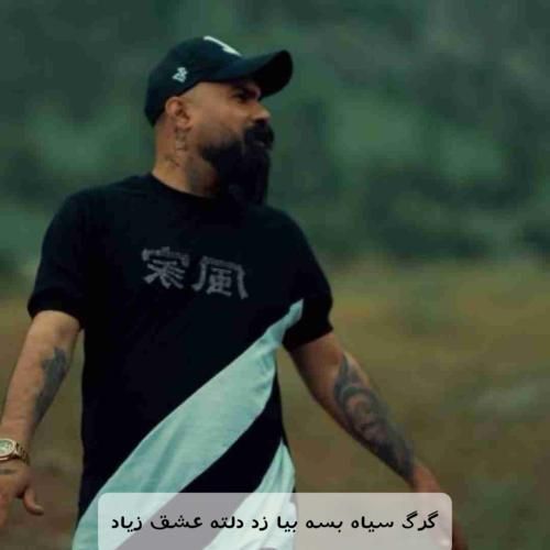 دانلود آهنگ گرگ سیاه بسه بیا زد دلته عشق زیاد فرهاد جهانگیری
