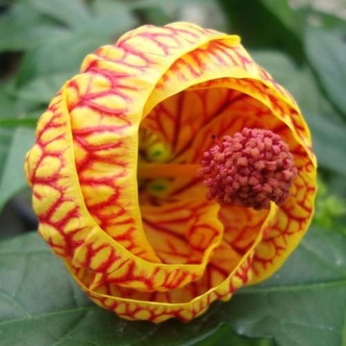 دانلود آهنگ برو حاجی مارو بی خیال میکاپ فیلم سینمایی به ما نمیاد 