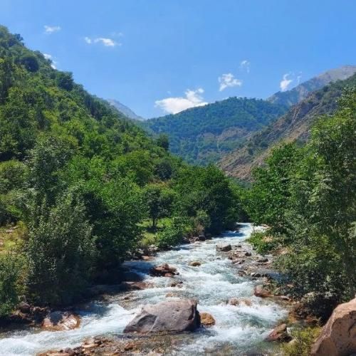 دانلود آهنگ تو هیچوقت نرفتی لب جاده تا انتظارو بفهمی با صدای دختر 