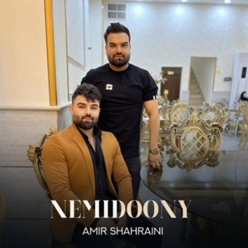 دانلود آهنگ نمیدونی امیر شهرایینی