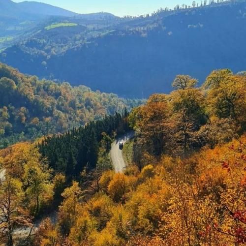 دانلود آهنگ ای یار عاشق بونی عاقل چه نوونی بانو بانو جانم با صدای زن