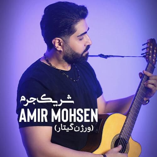 دانلود آهنگ شریک جرم (ورژن گیتار) امیر محسن
