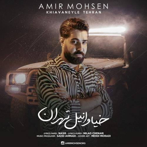 دانلود آهنگ خیاوانیل تهران امیر محسن
