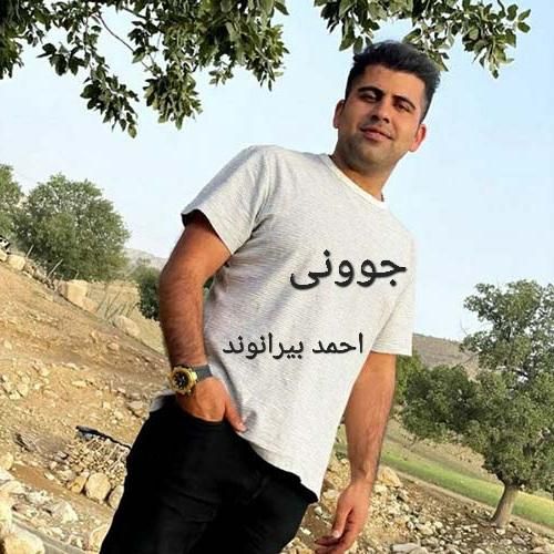 دانلود آهنگ جوونی احمد‌ بیرانوند