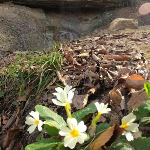 دانلود آهنگ دارم دوست ولی حوصلتو ندارم آخه رو دیگه دست تو