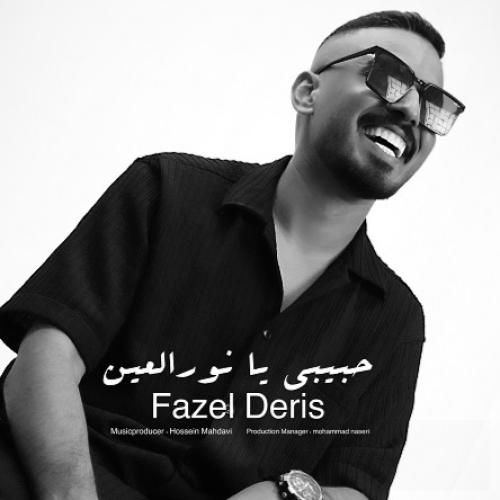 دانلود آهنگ حبیبی یا نورالعین فاضل دریس