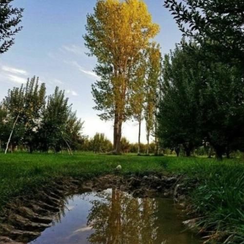 دانلود آهنگ جان باجی فاطمه عطایی