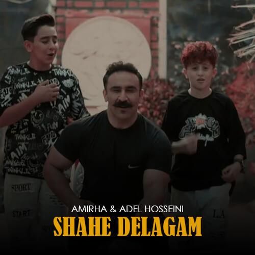دانلود آهنگ شاه دلگم امیرها و عادل حسینی