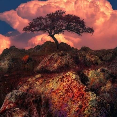 دانلود آهنگ صبح پا میشم تا که از خواب دو سه حبس کام 