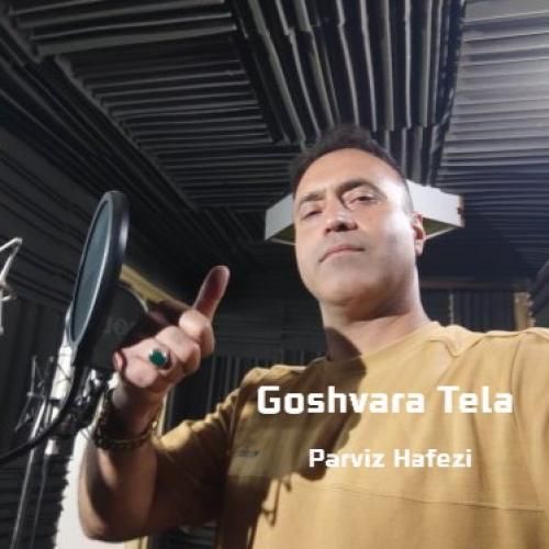 دانلود آهنگ گوشواره طلا پرویز حافظی