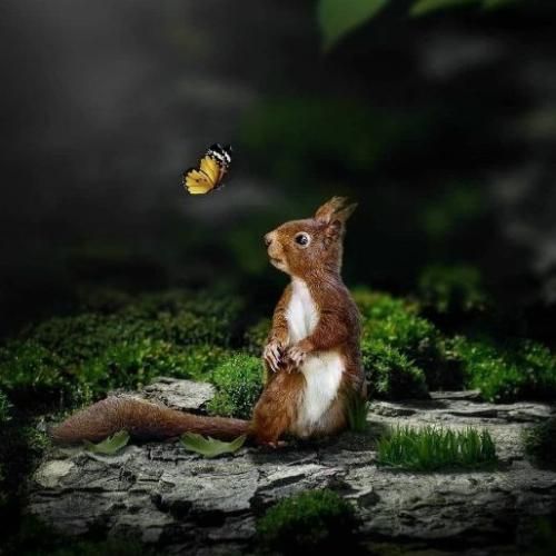 دانلود آهنگ هرچی رفته بر میگرده کارما بد بی رحمه 