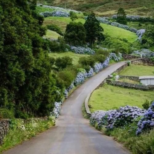 دانلود آهنگ من با چشم بسته بیدارم حرفام به دردام با صدای دختر 