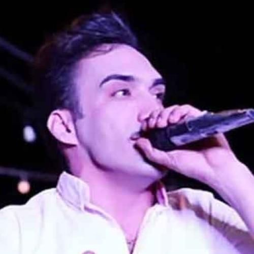 دانلود آهنگ حسرت هومن پناهی