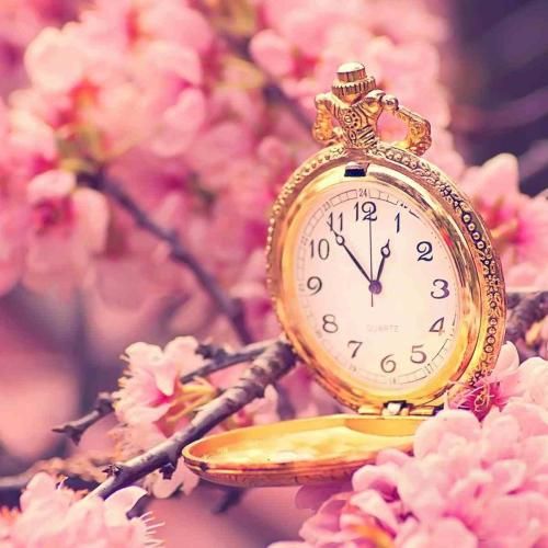 دانلود آهنگ اگر یه درصد شک کردی بهتری خیره خواب دیدی صبح شد پاشو 