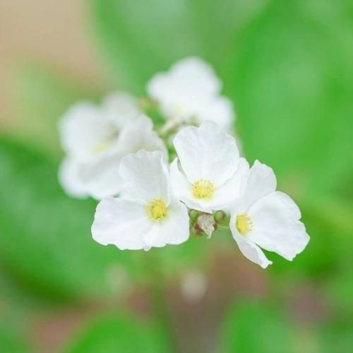 دانلود آهنگ اینا تلخن انصافا اما کردم بهش عادت 