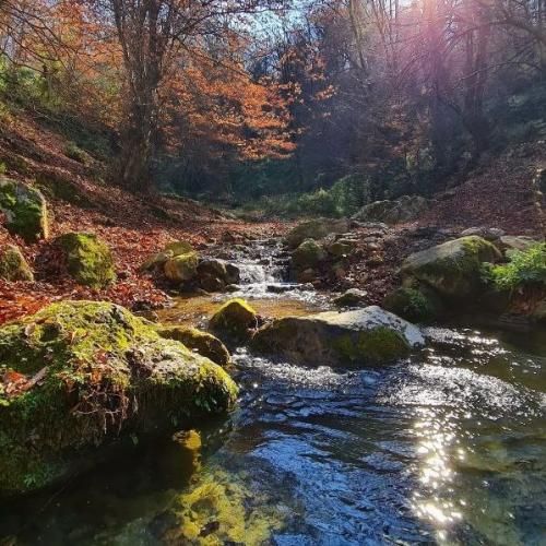 دانلود آهنگ تو عشقشو داری بگی یه نفرو داری با صدای دختر 