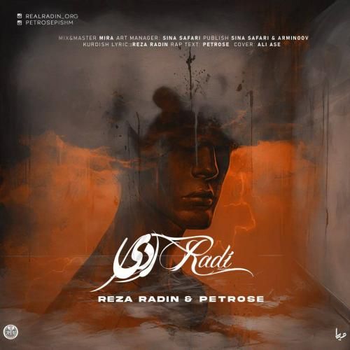 دانلود آهنگ ردی رضا رادین و پطروس