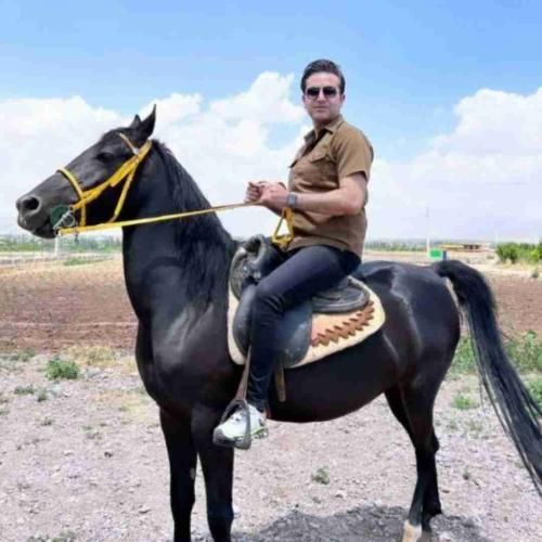 دانلود آهنگ از حکم اعدام خدا ترسی ندارم عمرم تباه شد دیگه مرتضی جعفرزاده