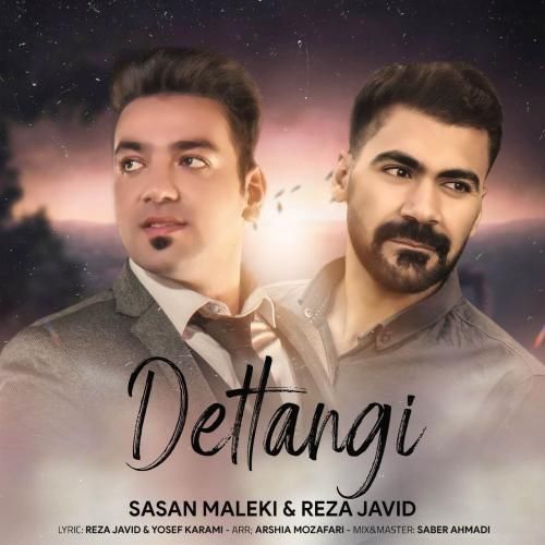 دانلود آهنگ دلتنگی ساسان ملکی و رضا جاوید