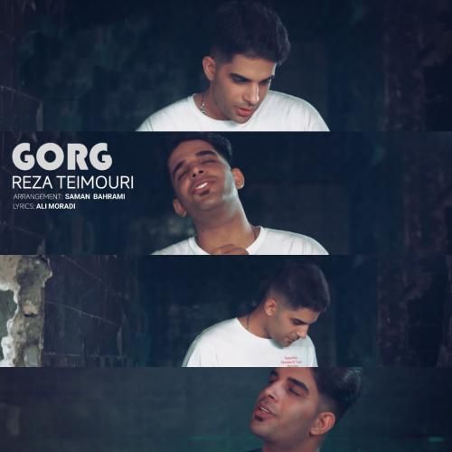 دانلود آهنگ گرگ رضا تیموری