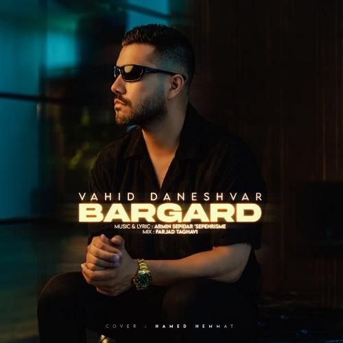 دانلود آهنگ برگرد وحید دانشور