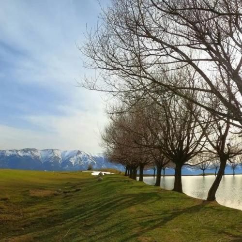 دانلود آهنگ رقیب و رقبا نقره داغ شریک و شرکا شبهه دار میده یه چی مثل بمب