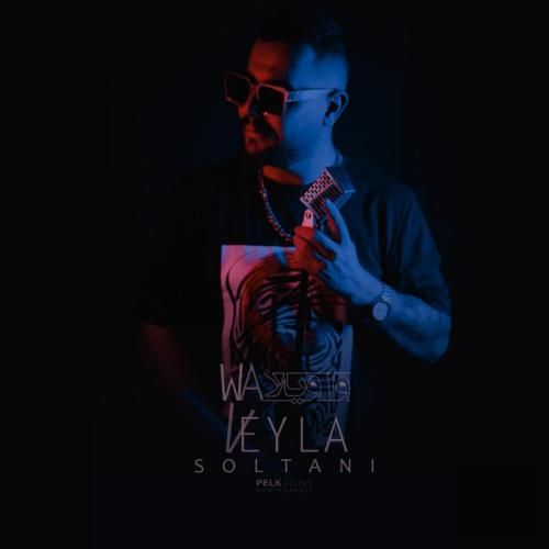 دانلود آهنگ هی واویلا محمدرضا سلطانی