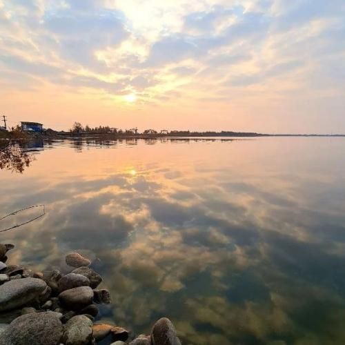 دانلود آهنگ قافله باری کند ز شاه خراسون با صدای زن