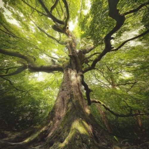 دانلود آهنگ میخوام از جلسی بمیرم باهات عکس بگیرم باید 