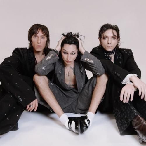 دانلود آهنگ Ache In My Heart Palaye Royale