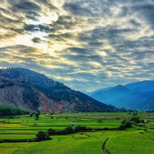 دانلود آهنگ کاش تو این شهر غریب صدای آشنا بیاد دل من هواتو کرده