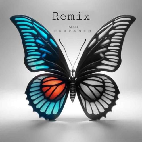 دانلود آهنگ پروانه احمد سلو