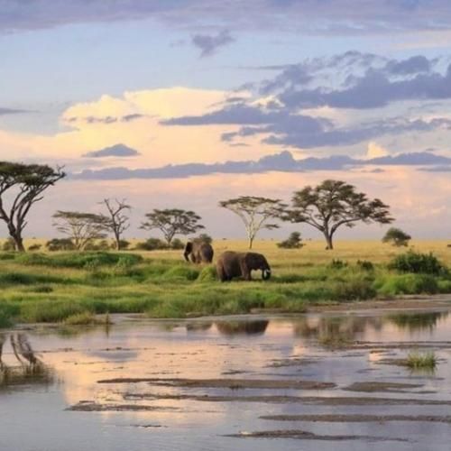 دانلود آهنگ شاید بدون تو باید کنم پرواز دل منم تو این کهکشان 