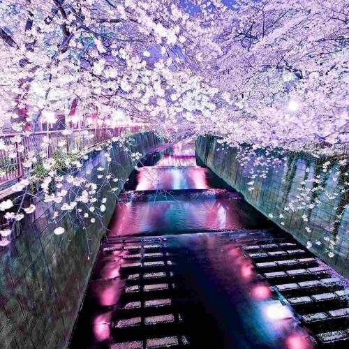 دانلود آهنگ نعشه ام من ساعت ها پای پیک نیک نشسته ام من 