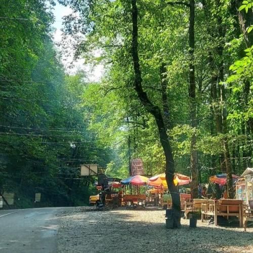 دانلود آهنگ آی تو به باغ رفته بودی بله بله بله رفته بودم با صدای زن 