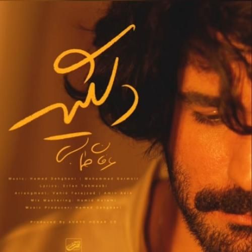 دانلود آهنگ دلگیر عرفان طهماسبی