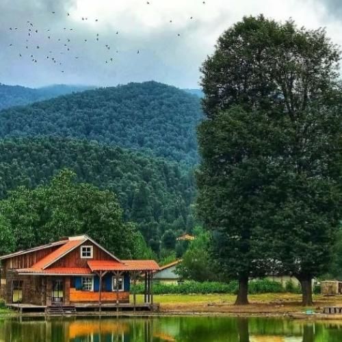 دانلود آهنگ فردا دوباره پاییز میشه باز با صدای زن 