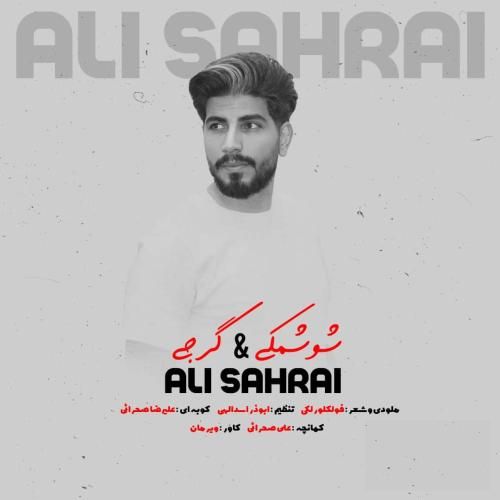دانلود آهنگ شوشمکی و گرجی علی صحرایی