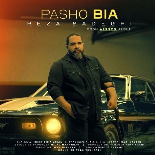 دانلود آهنگ پاشو بیا رضا صادقی
