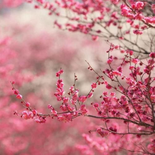 دانلود آهنگ دیدنم استانبول و باید بگیرم کابلو ده تا قلپ 